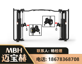 天门大飞鸟训练器