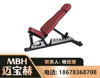 天门可调哑铃椅