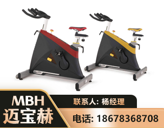 天门商用动感单车
